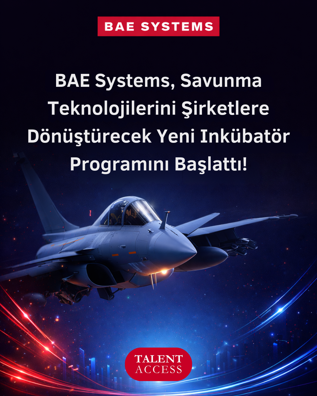 Talent Access Sosyal Medya (4)